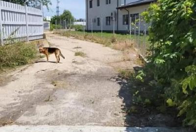 Spațiu comercial, de 2,110 mp, în Central - 4