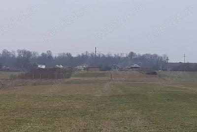 Teren în Stolnici - 4