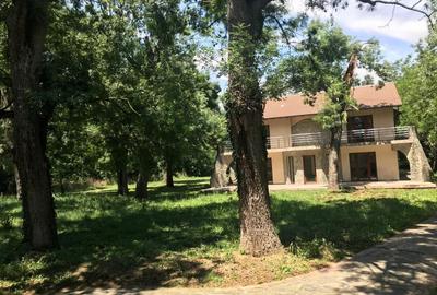 Proprietate inedita cu teren de 4400, si deschidere cu ponton pe Bega - 11