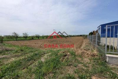 Teren extravilan in Banesti, 2400mp, 10e - 1