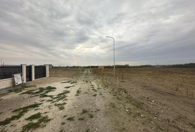 Teren de 606mp | Remetea Mare - 4