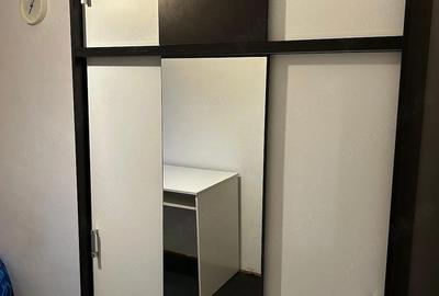 Spațiu comercial, de 950 mp, în Badea Cârțan - 4