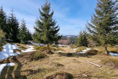 Spațiu comercial, în Măguri - 4