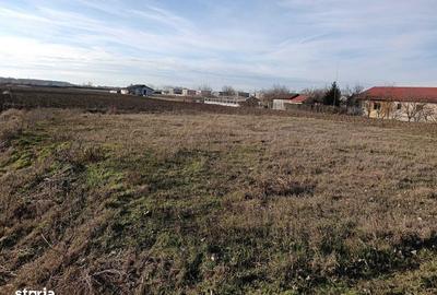 Spațiu comercial, în Bucovăț - 4