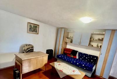 CASA MOARA GRECILOR,VASLUI - 4