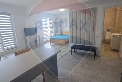 Apartament modern cu 1 camera de inchiriat - Zona Tatarasi