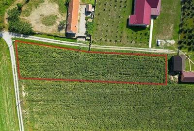 Teren intravilan, pe 2.000mp, Bacel, Covasna - 5