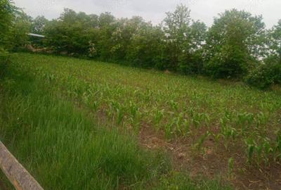 Casa cu teren intravilan 2800 mp in Vladeni (Corlateni), Botosani - 6