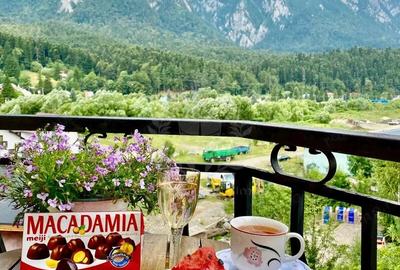 Casă cu 6 camere cu Teren 400 Mp în Zamora - 4