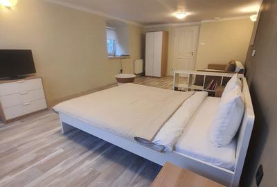 Apartament decomandat, mobilat în Centrul Istoric - 6