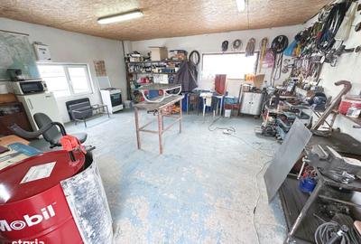 Spațiu comercial, de 500 mp, în Adămuș - 3