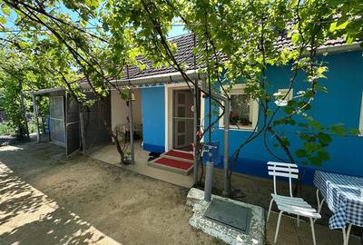Casă individuală cu 2 camere cu Teren 1501 Mp în Birda - 1