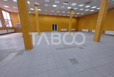 Spatiu comercial 300 mpu de inchiriat curte zona Terezian din Sibiu - 3