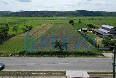 Teren de 3043 mp, în Prisaca - 3