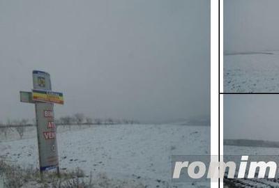 Teren Corbita, ID: R1984008 - 2