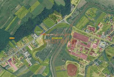 Teren Construcții intravilan de 14684 mp, în Nord-Vest - 4