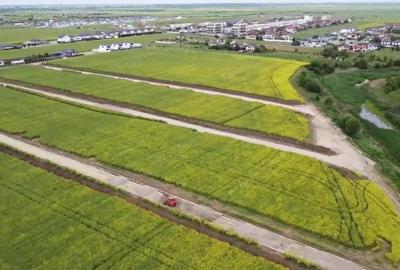 Teren de 406 mp, în Berceni - 5