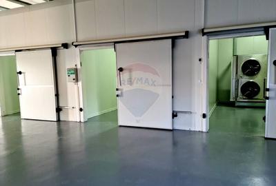 Spațiu industrial, de 700 mp, în Piscu - 15