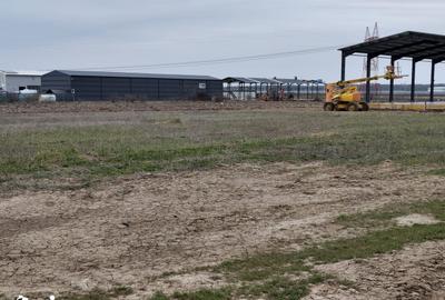 Teren de 1500 mp, în Joița - 3