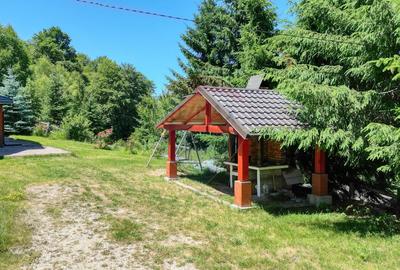 Casă individuală cu 7 camere cu Teren 725 Mp în Drumul Carului - 14