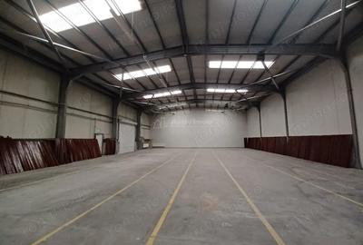 Inchiriere Hala Industriala Soseaua Andronache- Stradal - 3