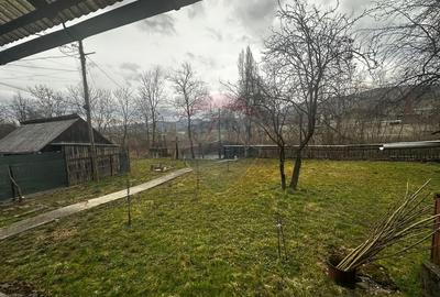 Casă cu 3 camere cu Teren 3440 Mp în Central - 6