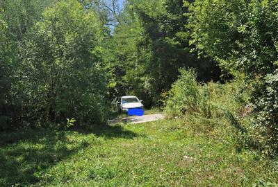 Teren de 2300 mp, în Vâlcănești - 5