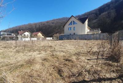 Spațiu comercial, în Timișu de Jos - 5