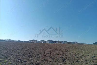 Teren de 83000 mp, în Vorovești - 7