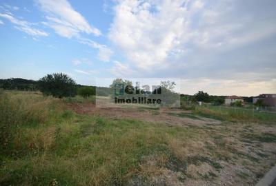Snagov Ciofliceni - Teren 6153mp, D 25 M, Toate Utilitatile, Asfalt - 6