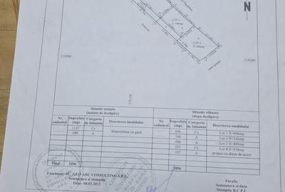 Spațiu comercial, în Central