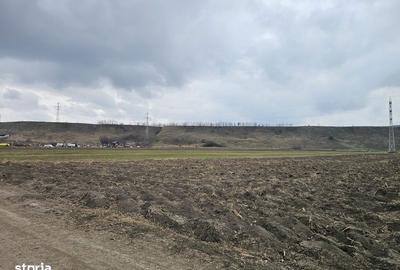 Teren de 5957 mp, în Central - 6