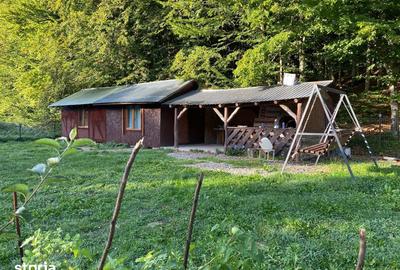 Teren de 850 mp, în Dumbrăvița - 7