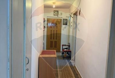 Apartament cu 3 camere decomandat în Valea Rosie - 11
