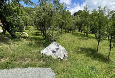 Parcela de 3.72 ari zona Valea Rosie - 2