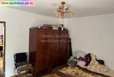 Tihuana Imobiliare:casa de vanzare-Buna Vestire - 12