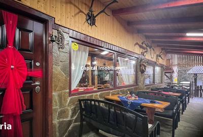 Casă cu 8 camere cu Teren 1500 Mp în Văliug - 8