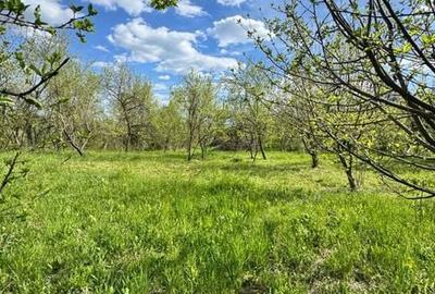 Teren de 1872 mp, în Moțăieni - 6