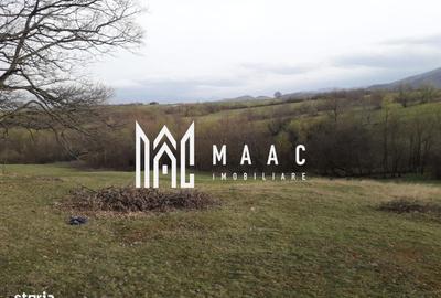 Spațiu comercial, în Râu Sadului - 8