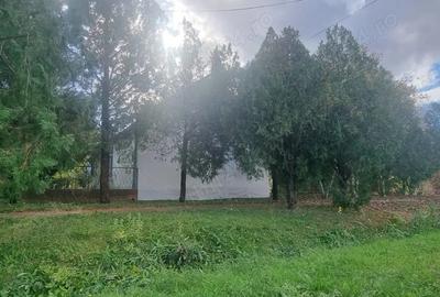 Casa de vanzare in Serbia, sat Vojvoda Stepa (10 minute de vama cu Jimbolia)