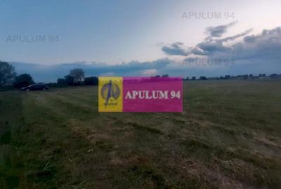 Teren Construcții intravilan de 3820 mp, în 1 Decembrie - 17