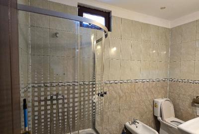 Apartament 2 camere ultracentral + mansarda Apartament 2 camere ultracentral + mansarda - 7