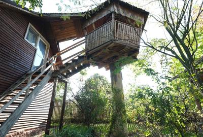 Com. Ileana, 4000 mp. teren intravilan si casa de vacanta cu deschidere la Balta - 6