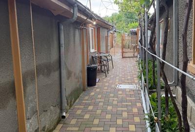 Teren Construcții intravilan de 69747 mp, în Est - 3
