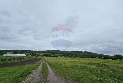 Teren 1,495mp Dobreni / Strada Parau Almas - 1