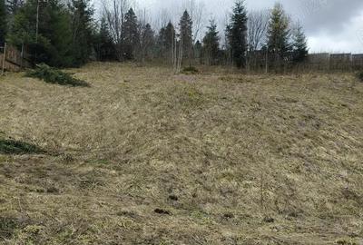 Teren de 1000 mp, în Predeal - 2