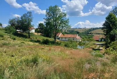 Teren de 4500 mp, în Brebu - 3