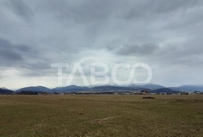 Teren de 15000 mp, în Tălmaciu - 10