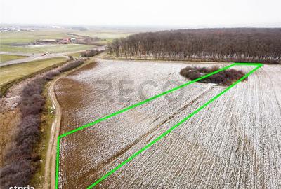 Spațiu comercial, în Nojorid - 3