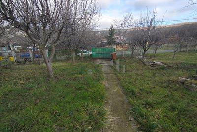 Teren de 750 mp, în Bucium